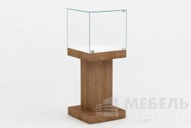 Витрина музейная 7