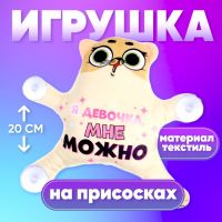 Автоигрушка «Я девочка, мне можно», кот, на присосках