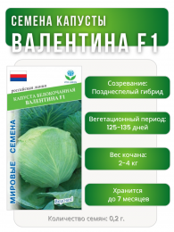 Капуста б/к Валентина F1, Мировые Семена VITA GREEN