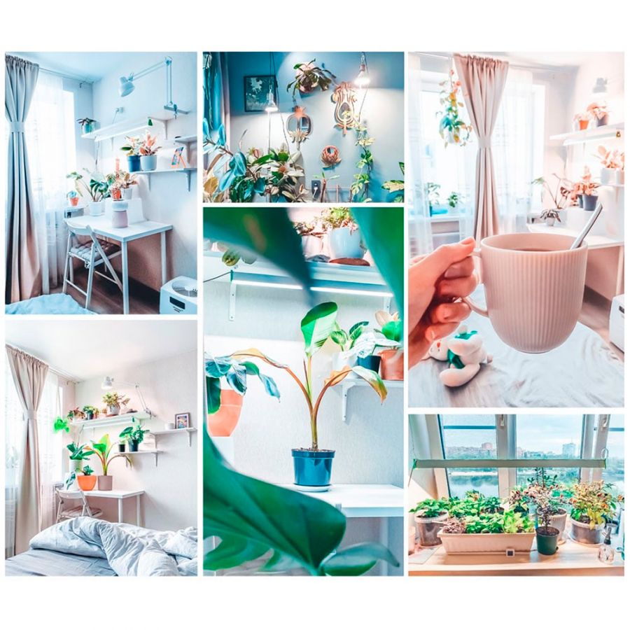 Фитолампа светодиодная МИНИФЕРМЕР Е27 SMD 25W (спектр на выбор)