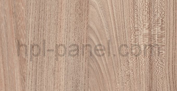 7172 Вяз Палермо темный