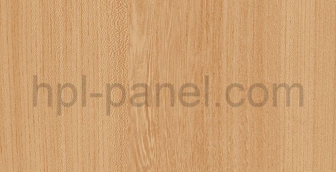 7174 Вяз Тендо