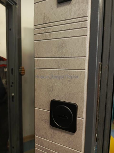 Сенатор 3К  КВАДРО С Зеркалом Входная дверь