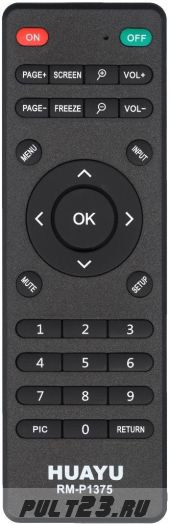 NEC RD-436E, NP100, NP200