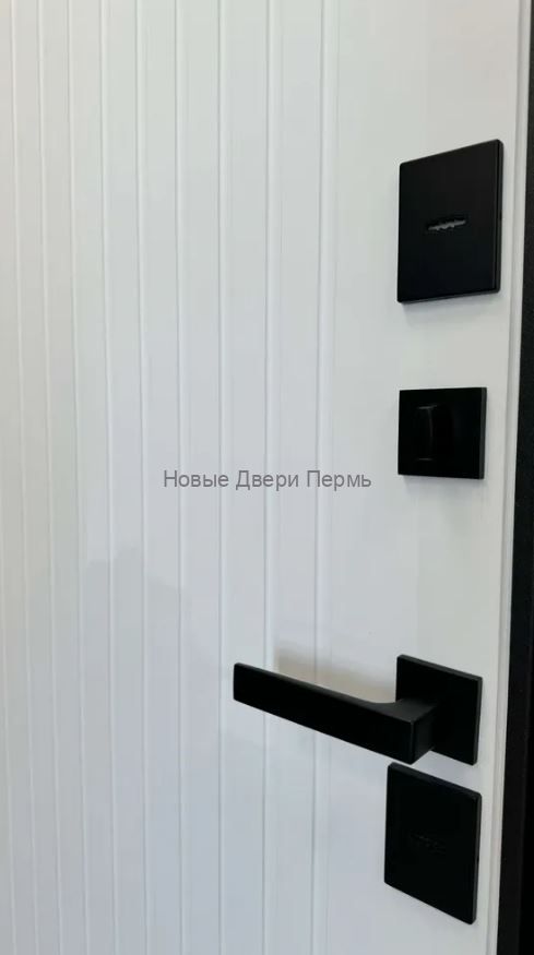 Входная дверь с терморазрывом 12 см Протерма Винорит Белый Рельеф