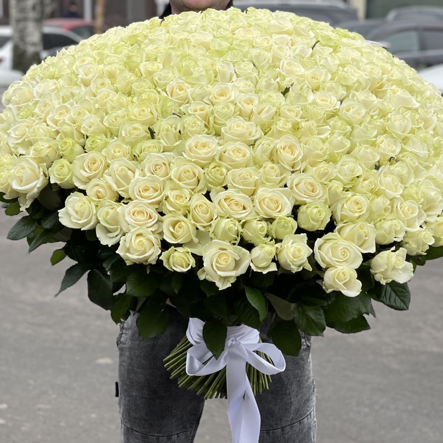 Букет из 301 красной розы