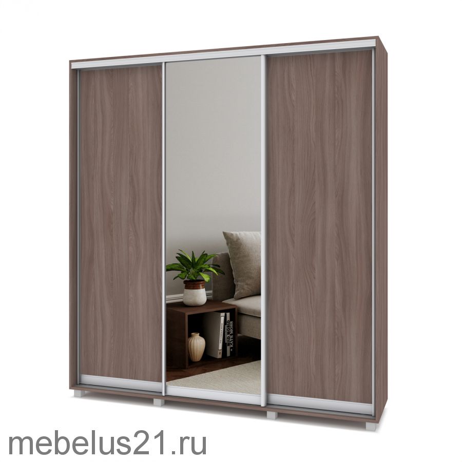 Шкаф купе Мартин с 1 зеркалом 2 м