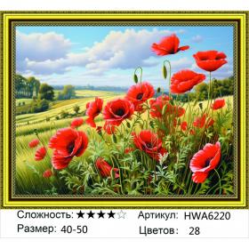 Алмазная мозаика на подрамнике HWA6220