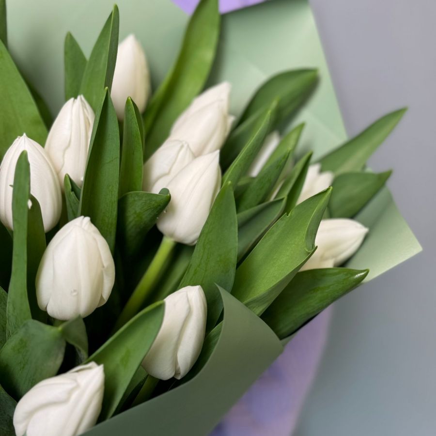 Букет из белых тюльпан