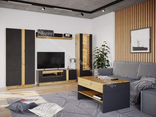 Шкаф 2-х дверный MODO Артизан/Чёрный