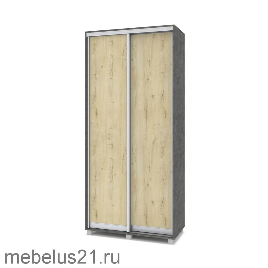 Шкаф купе Роланд 1 м