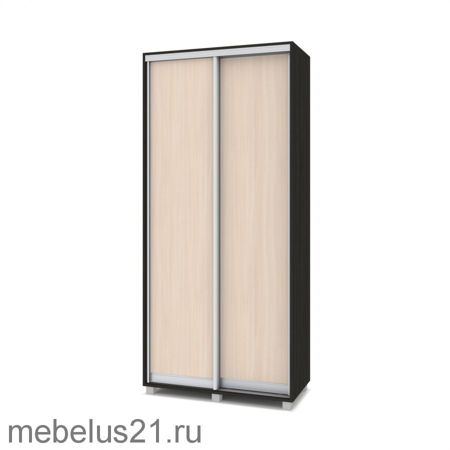 Шкаф купе Роланд 1 м