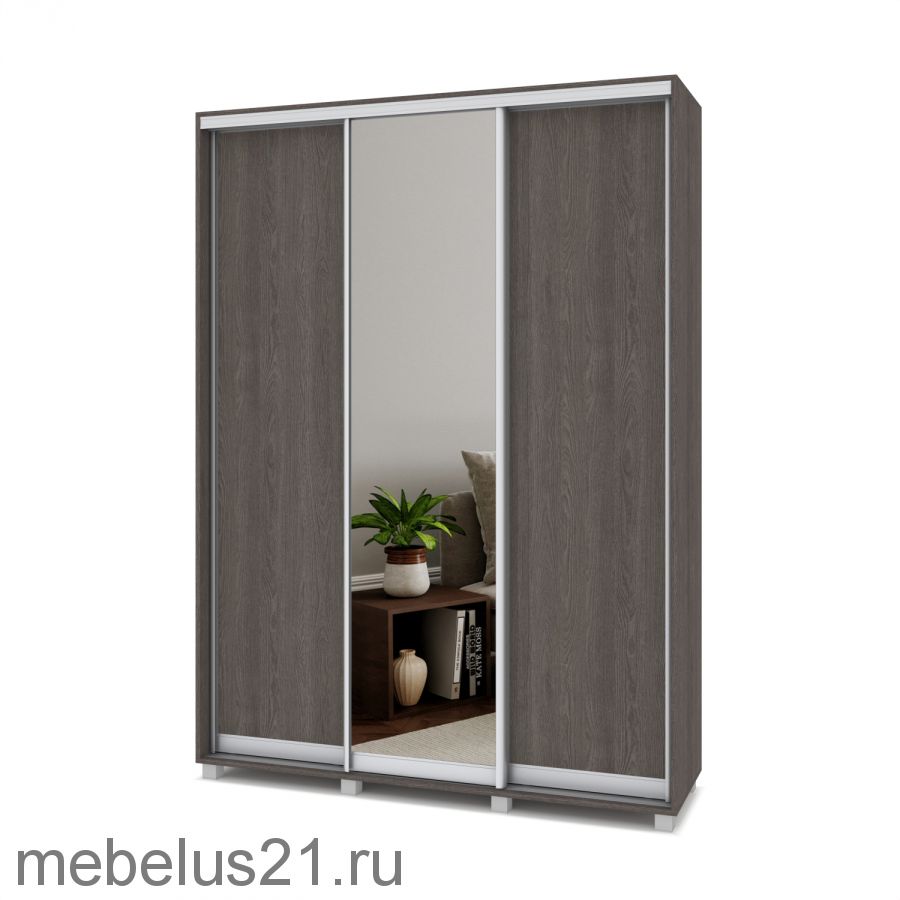 Шкаф купе с зеркалом Роланд 1,6 м