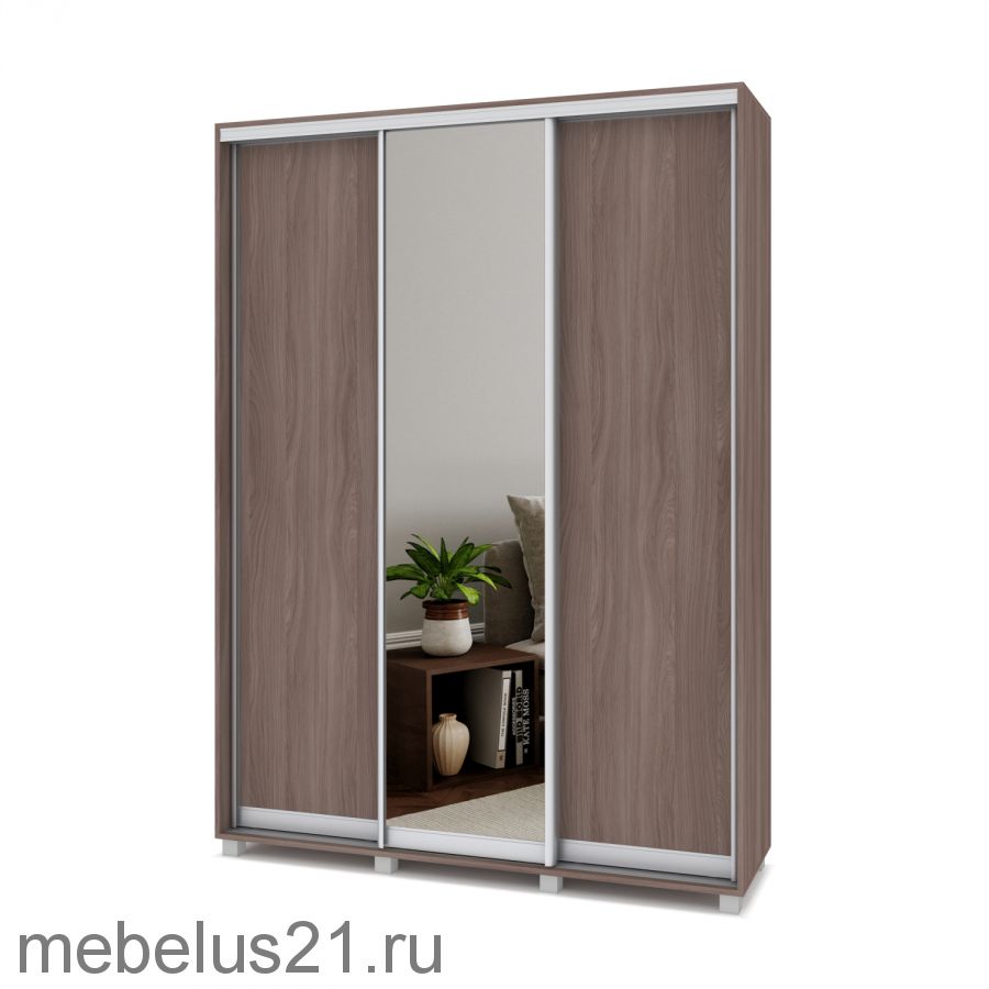 Шкаф купе с зеркалом Роланд 1,6 м