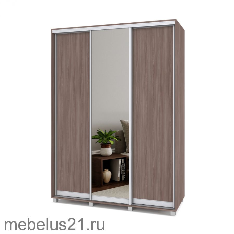 Шкаф купе с зеркалом Роланд 1,7 м