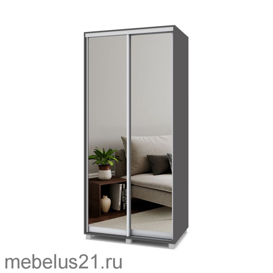 Шкаф купе с зеркалами Роланд 1 м