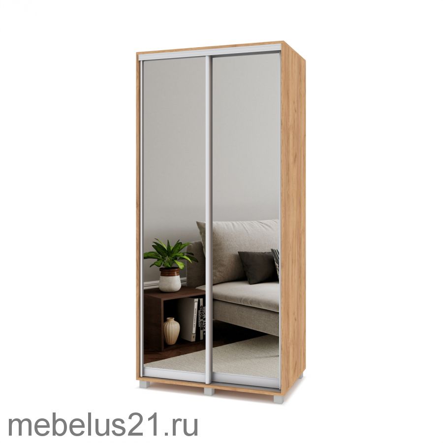 Шкаф купе с зеркалами Роланд 1 м