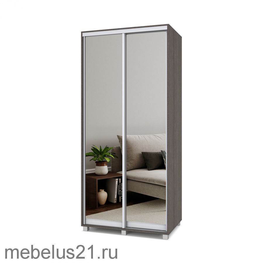 Шкаф купе с зеркалами Роланд 1,2 м