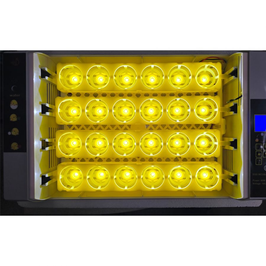 Инкубатор HHD на 24 яйца с овоскопом, автоматический переворот (УЦЕНКА)