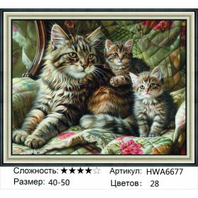Алмазная мозаика на подрамнике HWA6677