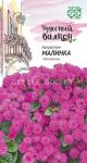 Ageratum-dolgocvetka-Malinka-Gavrish