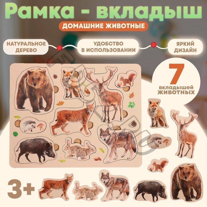 Рамка-вкладыш «Лесные животные»