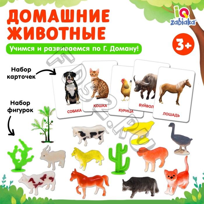 Развивающий набор «Домашние животные», по методике Домана, 9 карточек, 3-6 лет