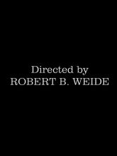 Directed by Robert B. Weide  - Термотрансфер 20х5см (1229 Евгения)