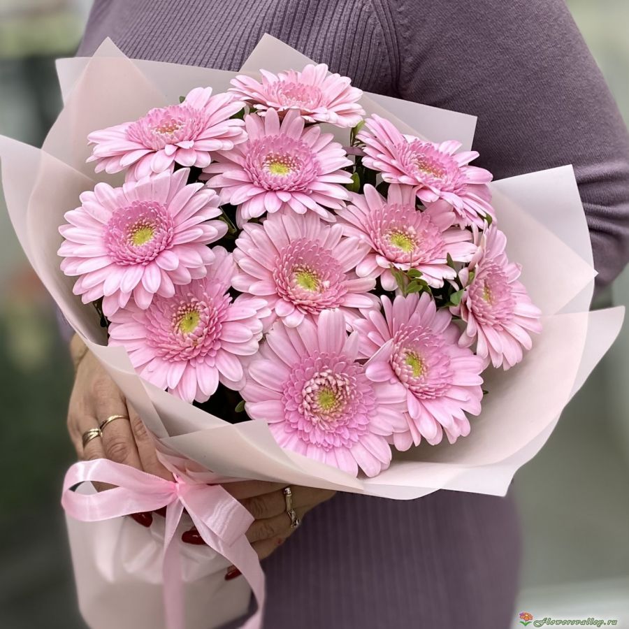 Нежно розовые герберы