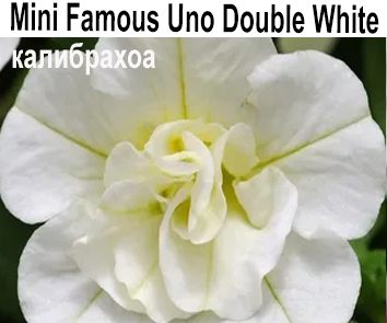 Mini Famous Uno Double Dark White