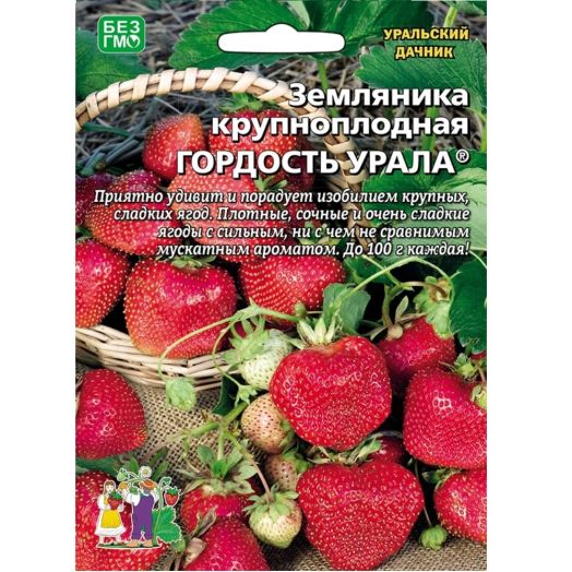 Земляника Гордость Урала крупноплодная