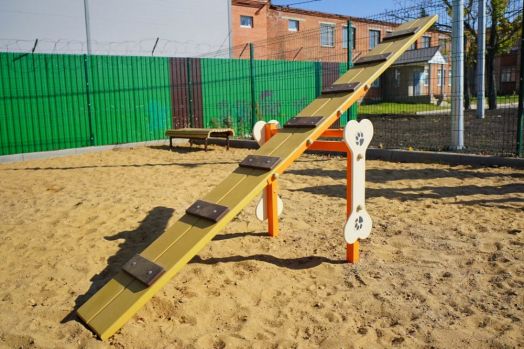 Балансир ДС-1.04 для дрессировки собак