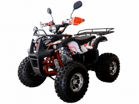 Квадроцикл WELS THUNDER EVO LUX X 125 (бензиновый 125 куб. см.)