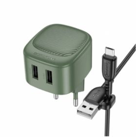 БП сетевой, 2USB Borofone, BAS21A, зеленый