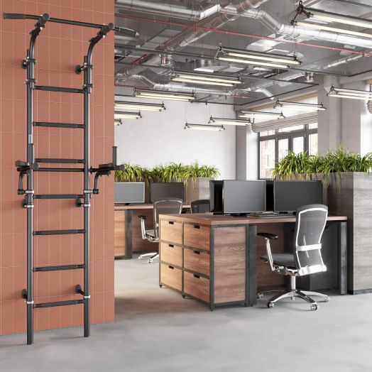 Комплекс «Шведская стенка  S10»