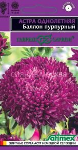 Астра густомахровая Баллон пурпурный, 0,05 г, серия Эксклюзив (Гавриш)