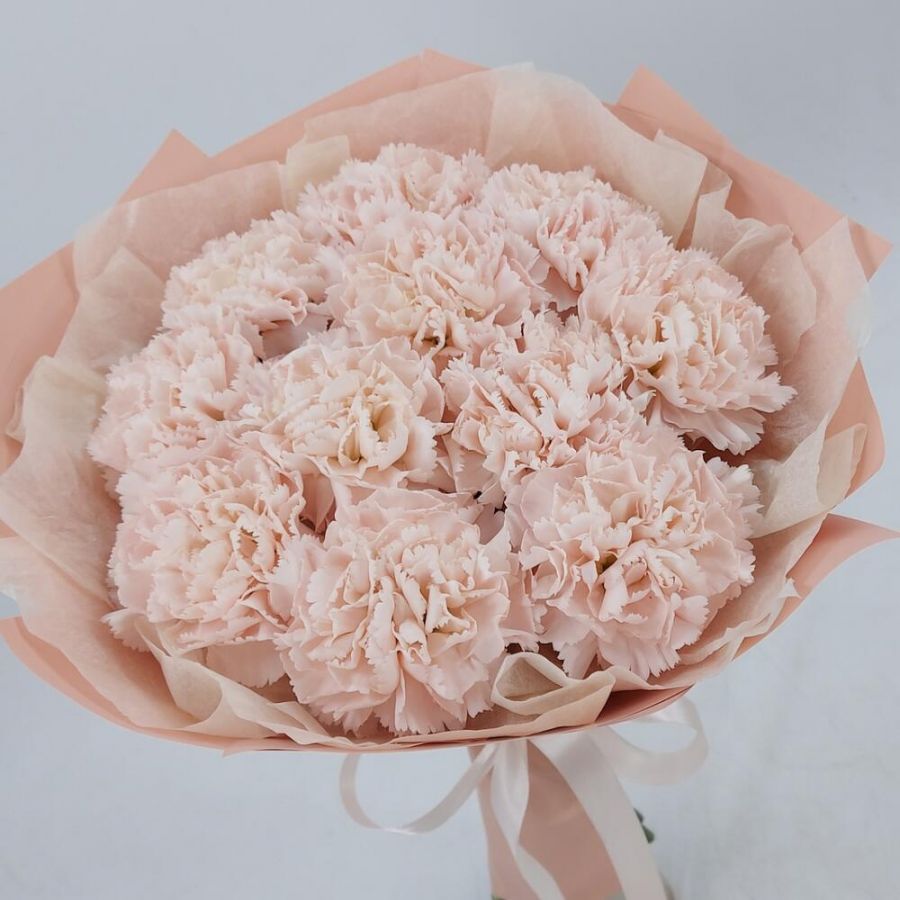 Кремовые диантусы