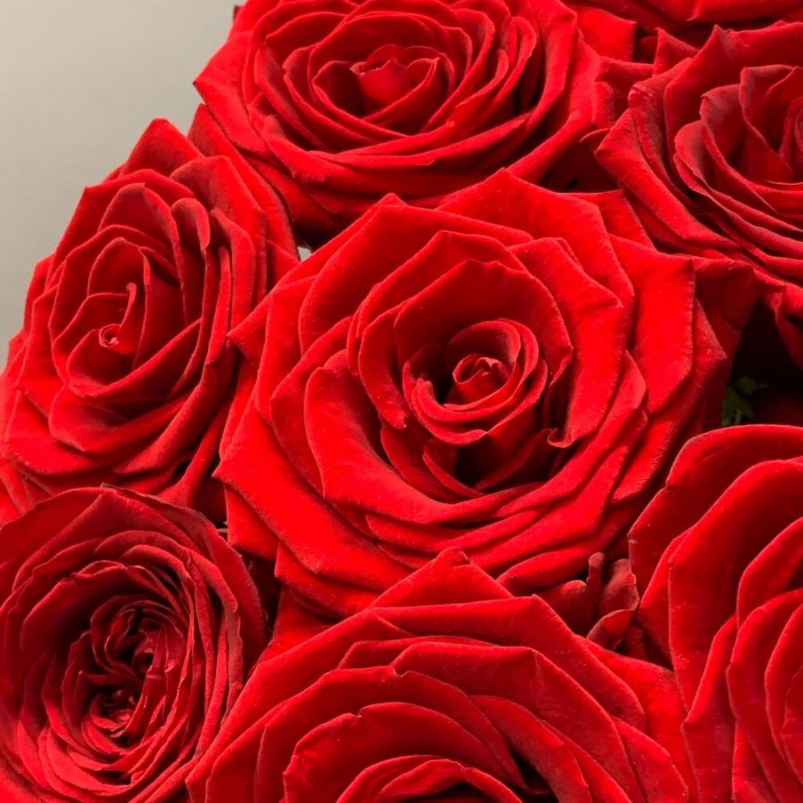 ️️Яркий букет из 11 красных роз