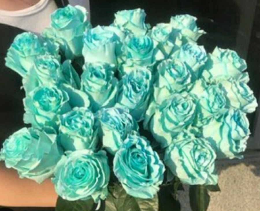 Крашенные розы