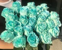 Крашенные розы