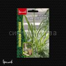 Lemongrass-Limonnoe-Sorgo-Cimbopogon-0-03g-Red-Sem-Grigorev