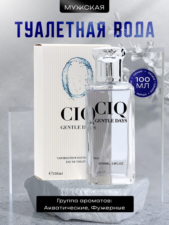 Туалетная вода мужская CIQ Gentle Days, 100 мл