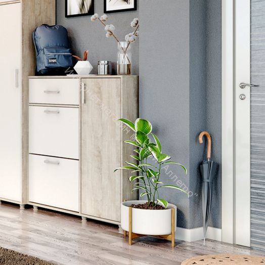 Обувница "Граф" 3-х створчатая с ящиком Перламутр/Дуб баррик