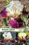 Iris-germanskij-Florens-Dejton-FLORENCE-DAYTON-1-sht