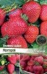 Zemlyanika-sadovaya-Monterej-MONTEREY-frigo-5-sht