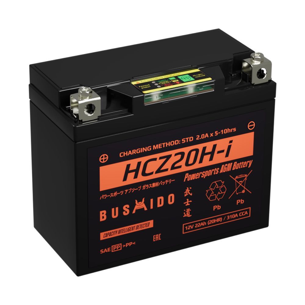 АКБ Bushido YTX20H-BS iGEL 20Ач