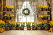 Фон стена "Easter wall №11"