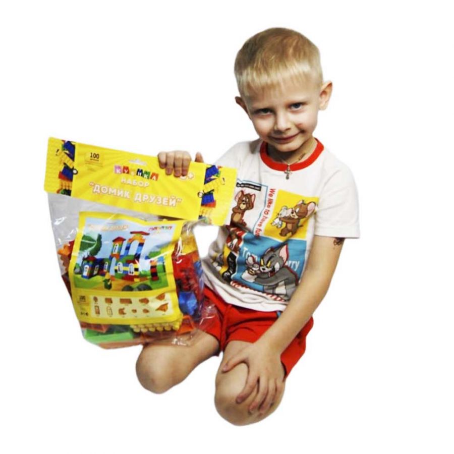 Конструктор "Домик Друзей" (100 деталей)