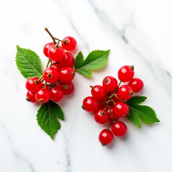 Смородина красная 125гр