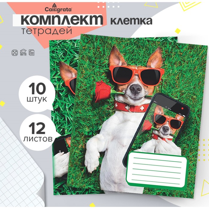 Комплект тетрадей из 10 штук, 12 листов в клетку Calligrata "СелфиDOG", обложка мелованная бумага, ВД-лак, блок офсет, 5 видов по 2 штуки